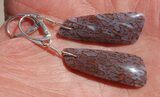 Gorgeous Agatized Dinosaur Bone (Gembone) Earrings #54081-10